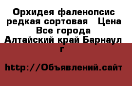 Орхидея фаленопсис редкая сортовая › Цена ­ 800 - Все города  »    . Алтайский край,Барнаул г.